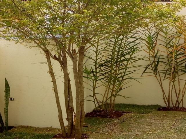 Casa para Venda em Bertioga - 4