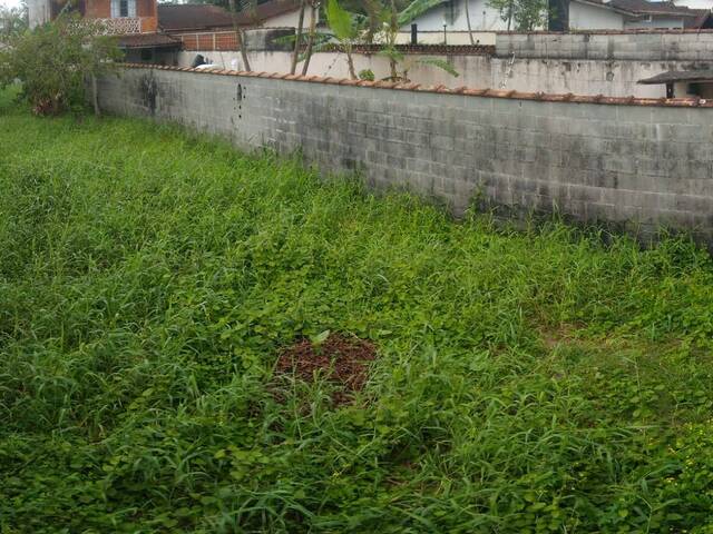 #642 - Área para Venda em Bertioga - SP - 2